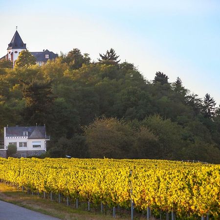 Haus Balduin Lägenhet Zell an der Mosel Exteriör bild