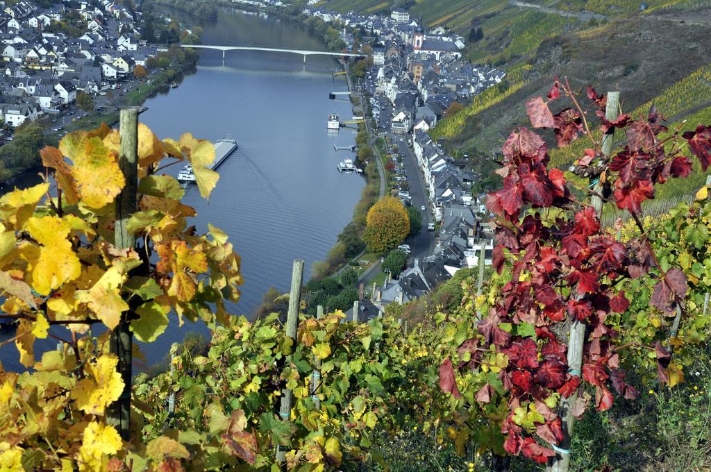 Haus Balduin Lägenhet Zell an der Mosel Rum bild