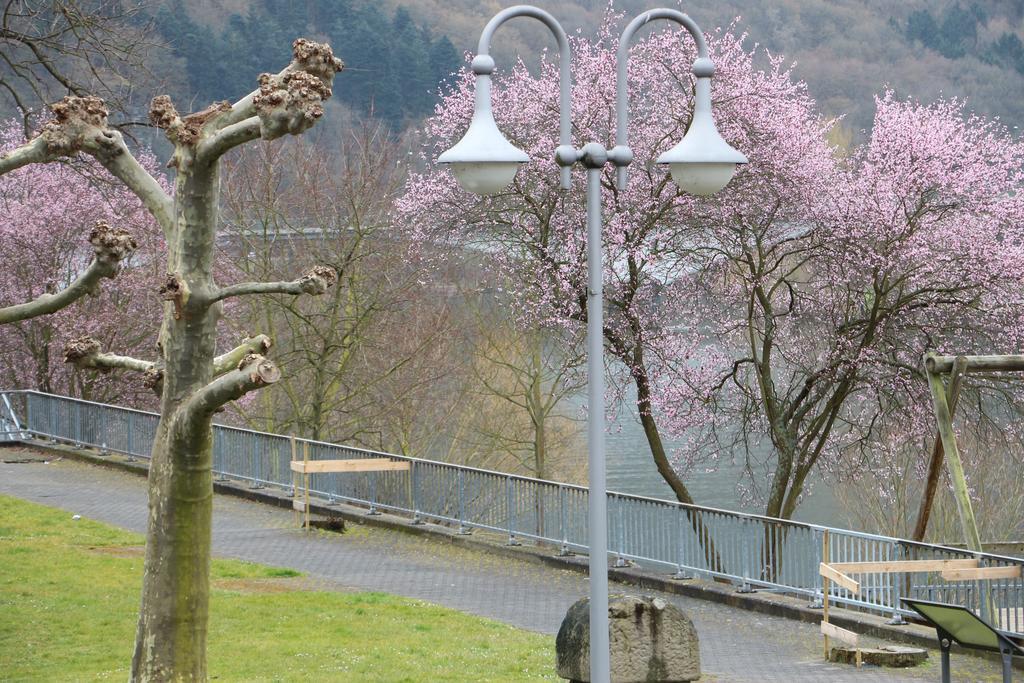 Haus Balduin Lägenhet Zell an der Mosel Exteriör bild