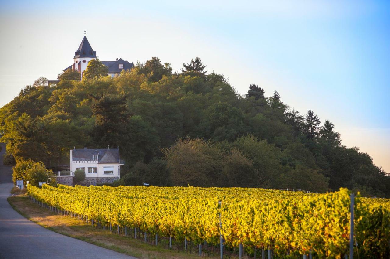 Haus Balduin Lägenhet Zell an der Mosel Exteriör bild