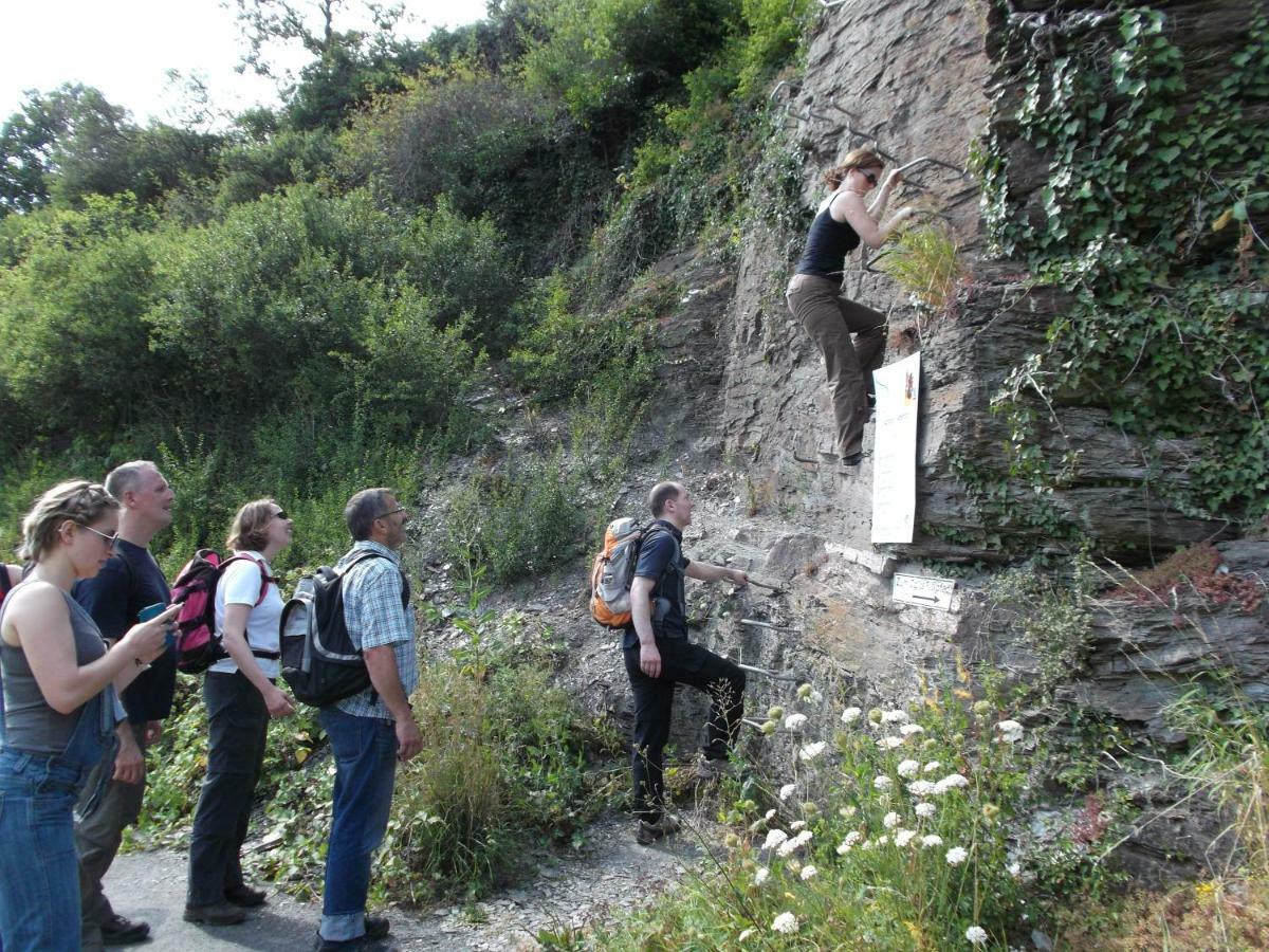 Haus Balduin Lägenhet Zell an der Mosel Exteriör bild